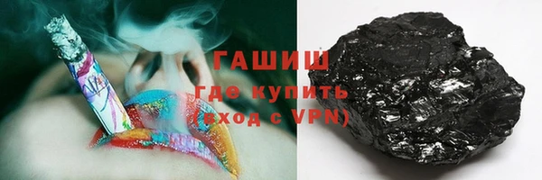 сатива Ессентукская