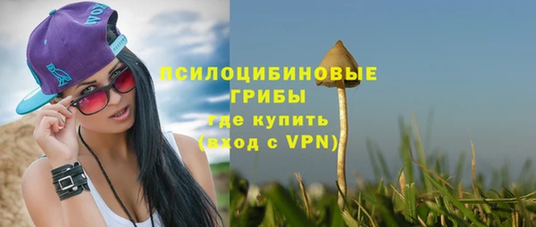 спиды Алексеевка