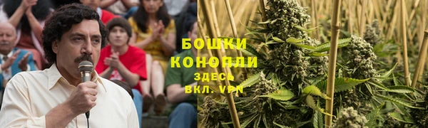 дживик Санкт-Петербург