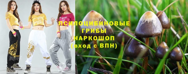 спиды Алексеевка