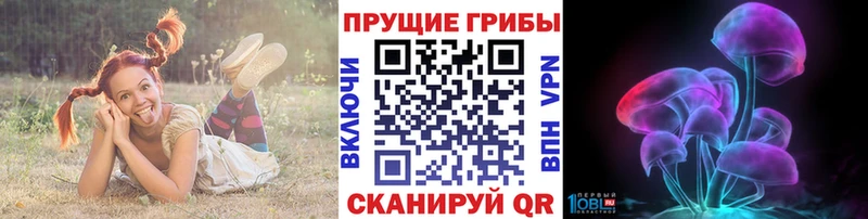 Галлюциногенные грибы прущие грибы Октябрьский